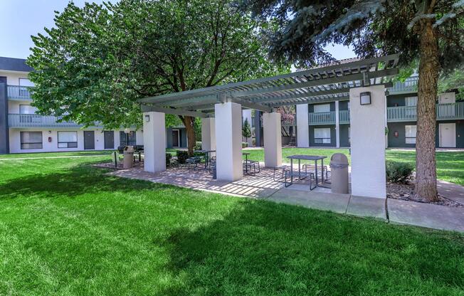 BBQ picnic area with bistro lighting at Treehouse Apartments in Albuquerque, New Mexico