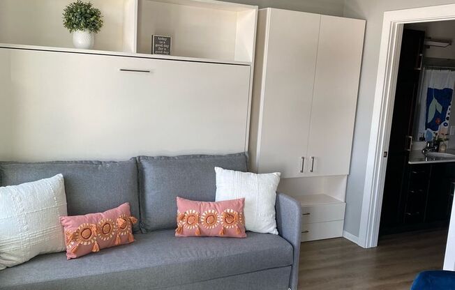 Studio, 1 bath, 390 sqft, $1,125