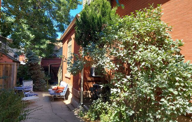 1 bed, 1 bath, 300 sqft, $975, Unit Unit 3 (115 N Sherman St)