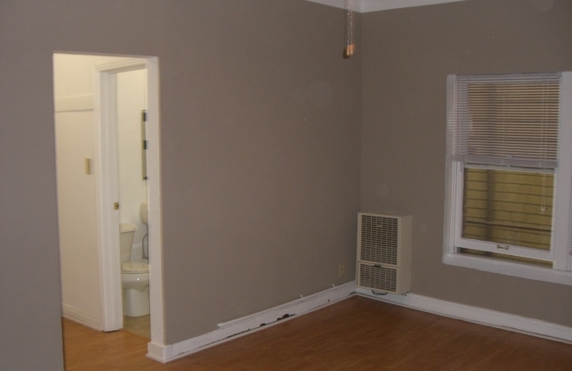 Studio, 1 bath, $1,495, Unit 102