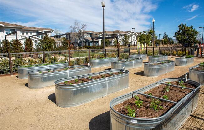community garden at Montiavo, California, 93455