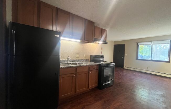 1 bed, 1 bath, 450 sqft, $851, Unit 309 Hoyt Ave. E.