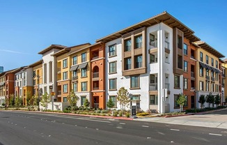 A row of modern apartment buildings with balconies and trees in front.