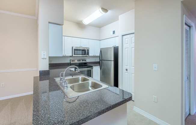 Kitchen with double basin sink