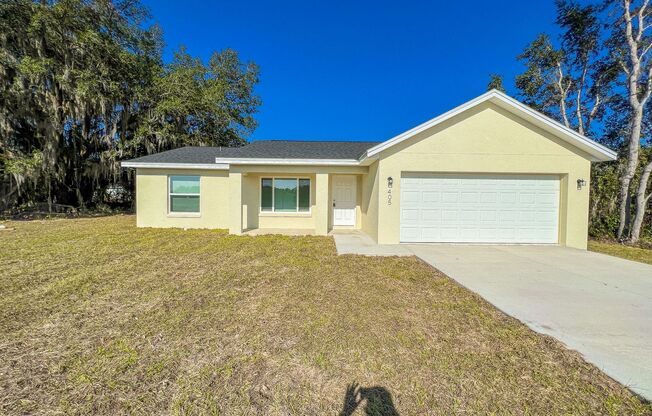 Awesome 3 BD/2BA Home in Beautiful Ocklawaha!!