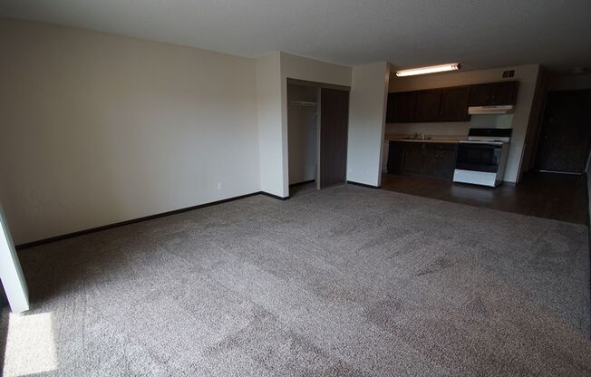 Studio, 1 bath, 710 sqft, $1,194, Unit 307
