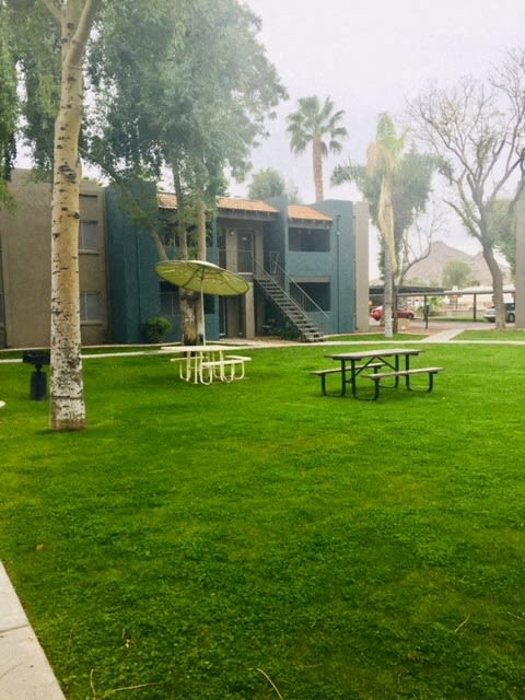 a lawn with tables and umbrellas in front of a building