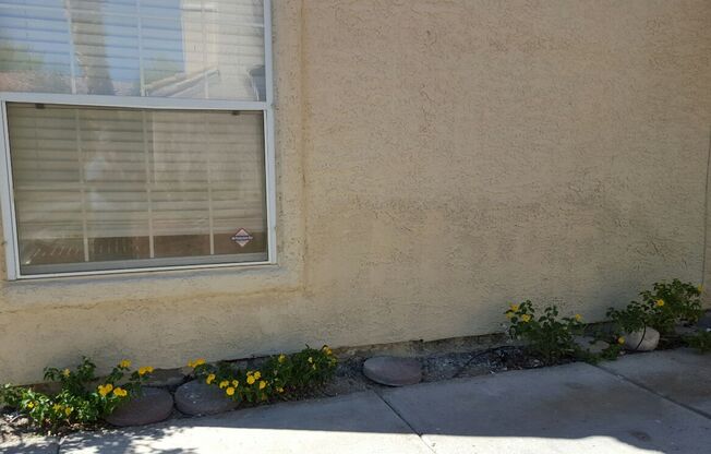Summerlin Condo
