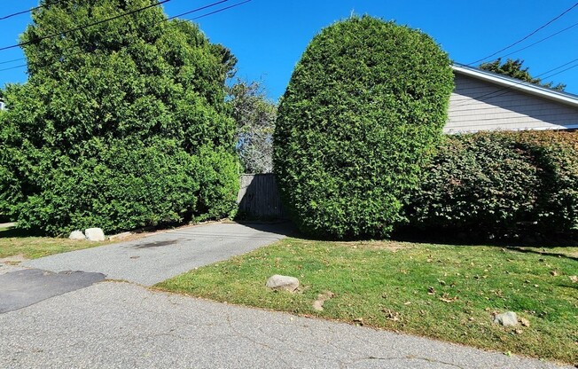 1 bed, 1 bath, 500 sqft, $1,800, Unit 2