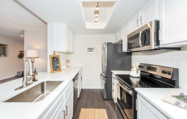 Townhomes with a View Kitchen Sink and Counters