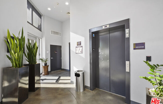 2 beds, 2 baths, 1,290 sqft, $3,700, Unit 439