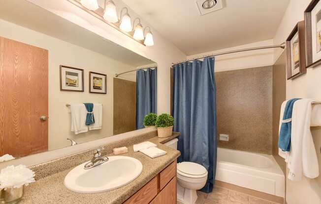 Bathroom with Vanity,Toilet, Bathtub and Blue Curtains
