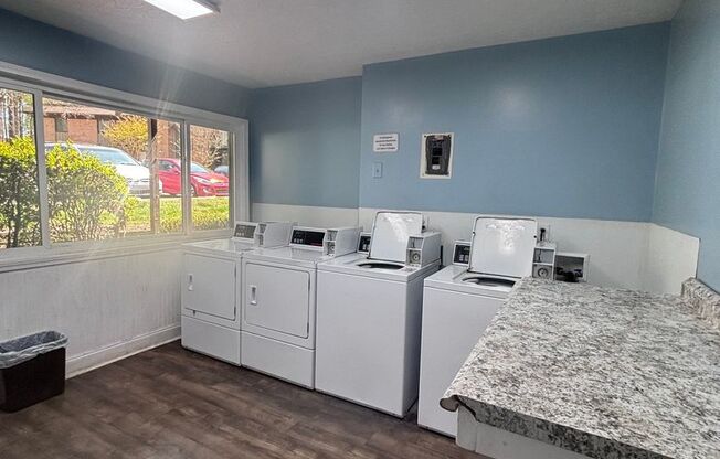 1 bed, 1 bath, $950