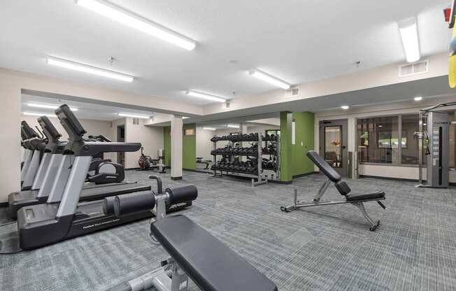 A gym with a variety of equipment including treadmills, weights, and benches.