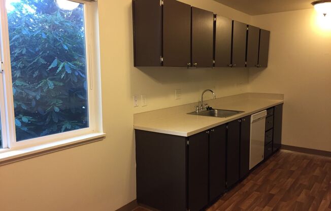 2 beds, 1 bath, 980 sqft, $1,200, Unit 13