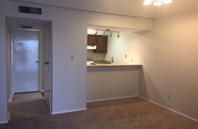 1 bed, 1 bath, $1,225