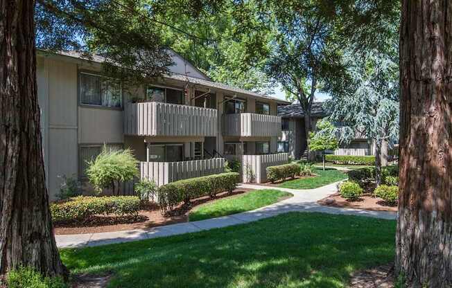A tree-lined pathway leads to apartment buildings.