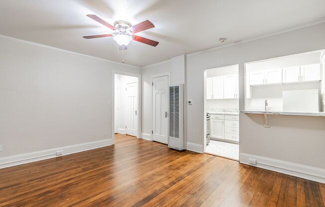 Studio, 1 bath, 399 sqft, $1,399, Unit 103