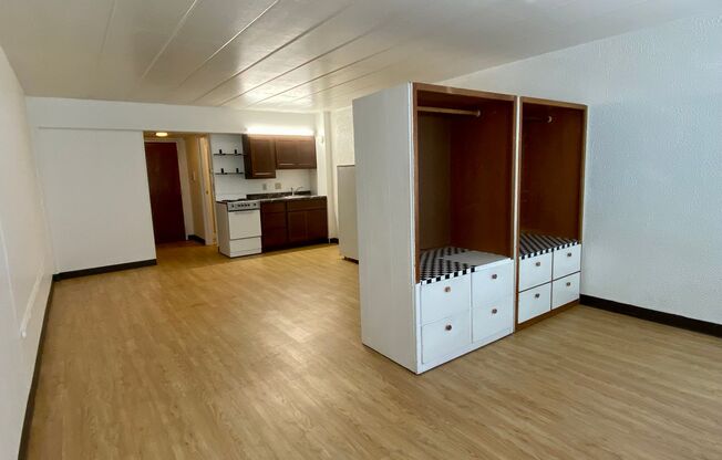 Studio, 1 bath, 450 sqft, $1,165, Unit 204