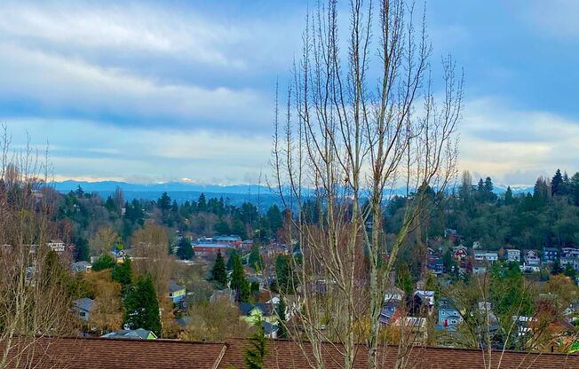 2 beds, 2 baths, 900 sqft, $2,895, Unit 302