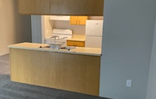 1 bed, 1 bath, 636 sqft, $710, Unit 507-110