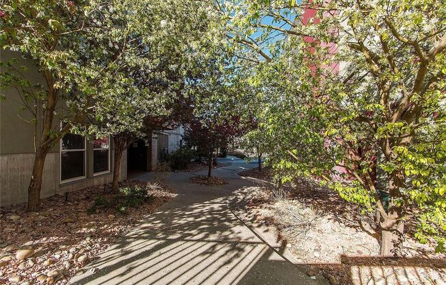 Great LoHi Condo - License #2023-BFN-0073421