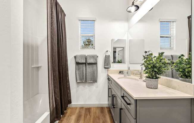 A bathroom with a white counter top and a brown shower curtain.