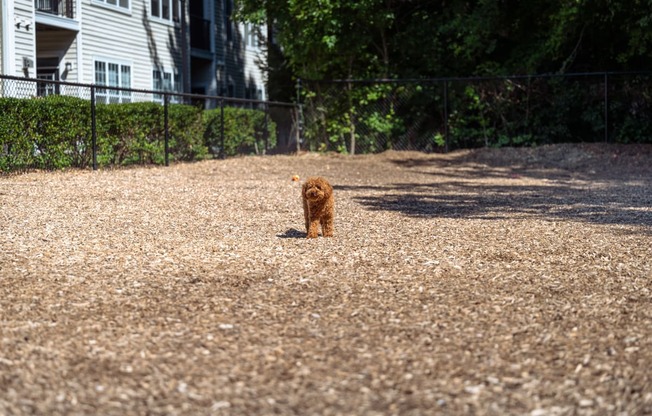 Dog Park. The Cascades at Tinton Falls, Tinton Falls NJ 07753