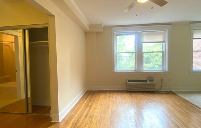 Studio, 1 bath, 510 sqft, $853, Unit Apt C-10