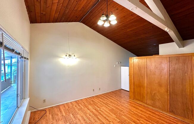 Studio, 1 bath, 350 sqft, $1,295, Unit 203