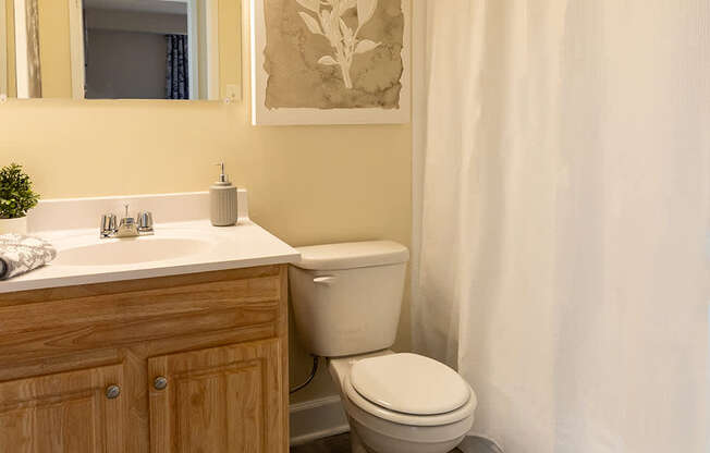 A bathroom with a toilet, sink, and a rug.