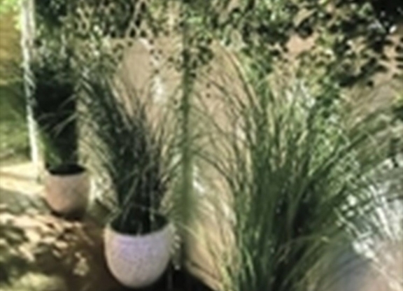 Studio, 1 bath, 419 sqft, $2,595, Unit B-3