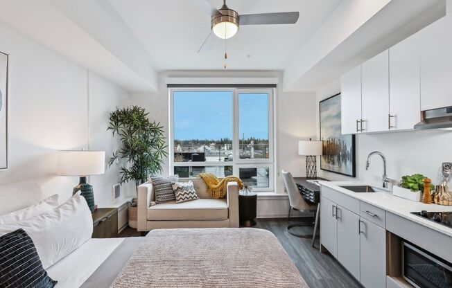 Studio, 1 bath, 308 sqft, $1,450, Unit 534