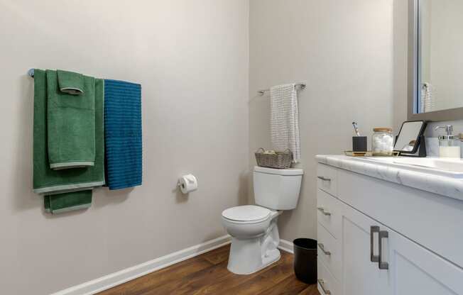 one of two bathrooms at the enclave at woodbridge apartments in sugar land, tx