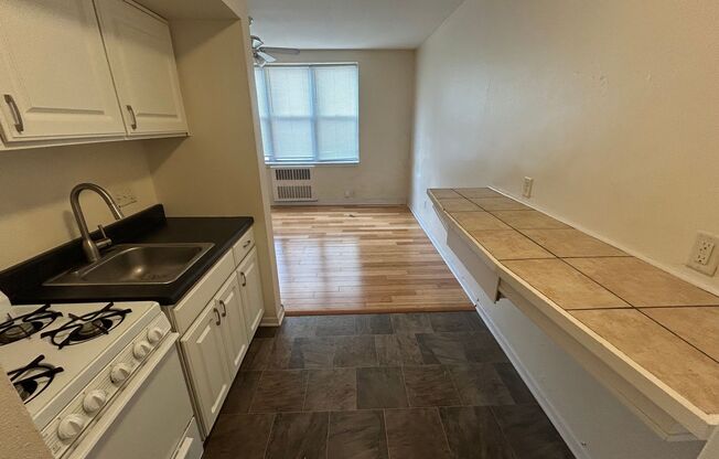 Studio, 1 bath, $750, Unit 310