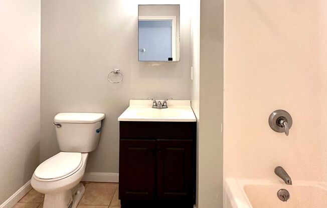 Studio, 1 bath, 255 sqft, $1,450, Unit 315