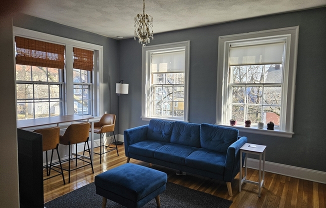 41 Bowdoin