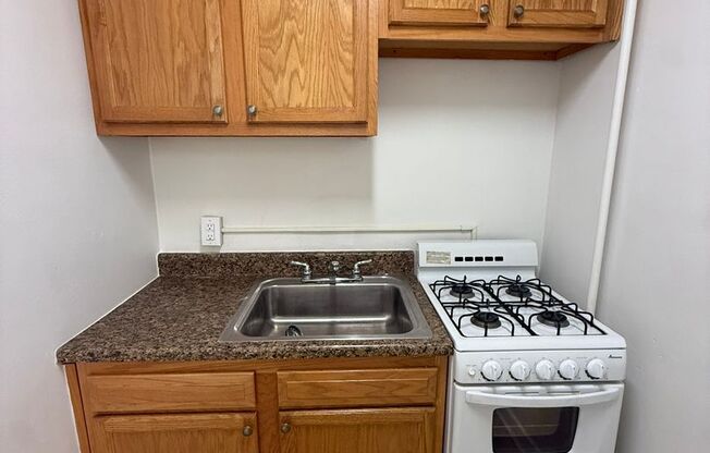 Studio, 1 bath, 487 sqft, $1,250, Unit Fifth 206