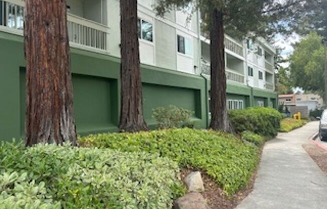 Studio, 1 bath, 500 sqft, $1,613, Unit Unit 219