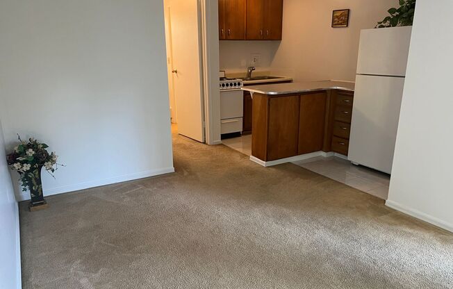 1 bed, 1 bath, 450 sqft, $1,195, Unit 710.5