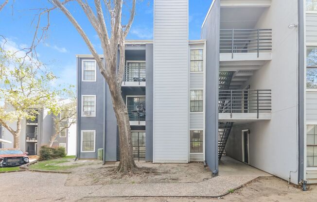 1 bed, 1 bath, $1,150, Unit #119