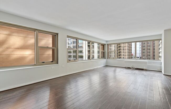 Incredible 1b1b in downtown Streeterville prime location