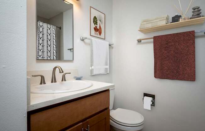 A bathroom with a toilet, sink, and towel rack.