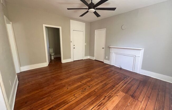 1 Bedroom 1 Bath Apartment in Wraggsboro - Downtown Charleston