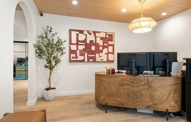 A room with a wooden desk and a tree in a white pot.