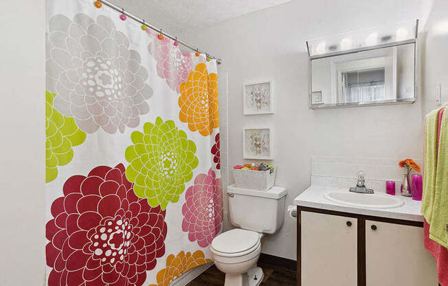 a bathroom with a shower curtain and a sink and a toilet