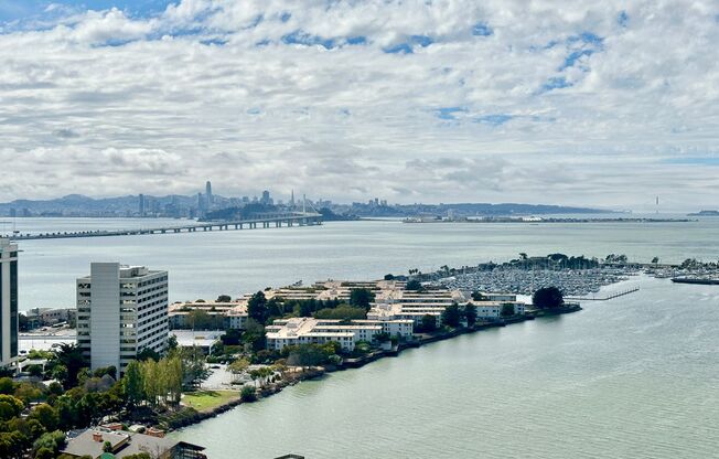 GORGEOUS Views from the 29th Floor in this Remodeled Penthouse.