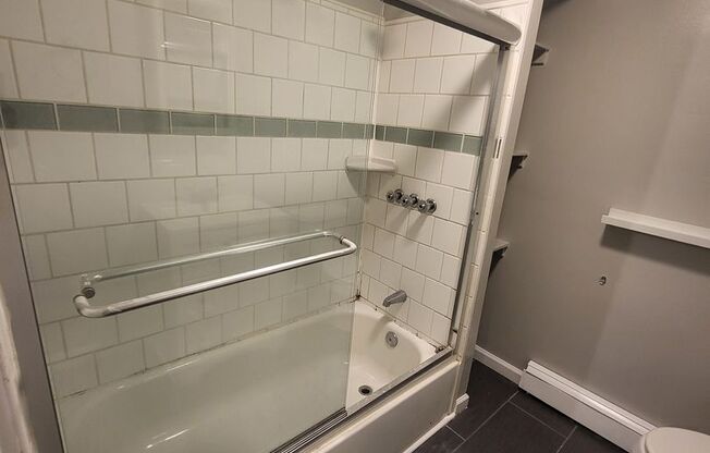 1 bed, 1 bath, $1,250, Unit Unit 1