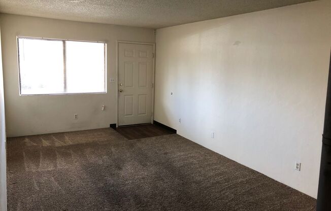 629 DAMERON DR
