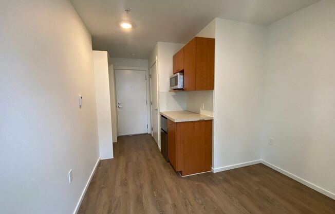 Studio, 1 bath, 175 sqft, $1,195, Unit 4309